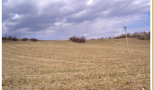 Fotografie blízkeho okolia 