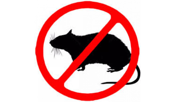 Výzva na výkon jarnej preventívnej celoplošnej deratizácie