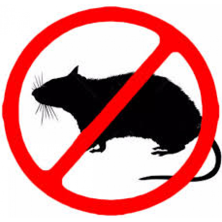 Výzva na výkon jarnej preventívnej celoplošnej deratizácie